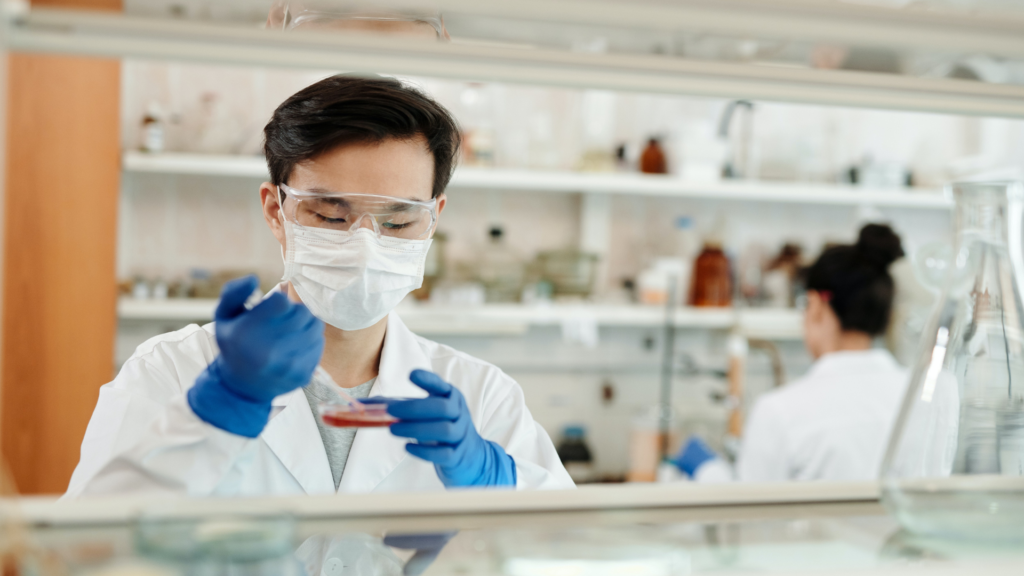 Lab technician piping a plate