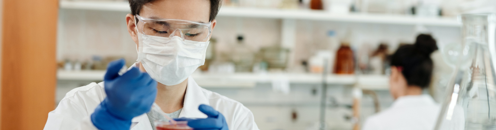 Lab technician piping a plate