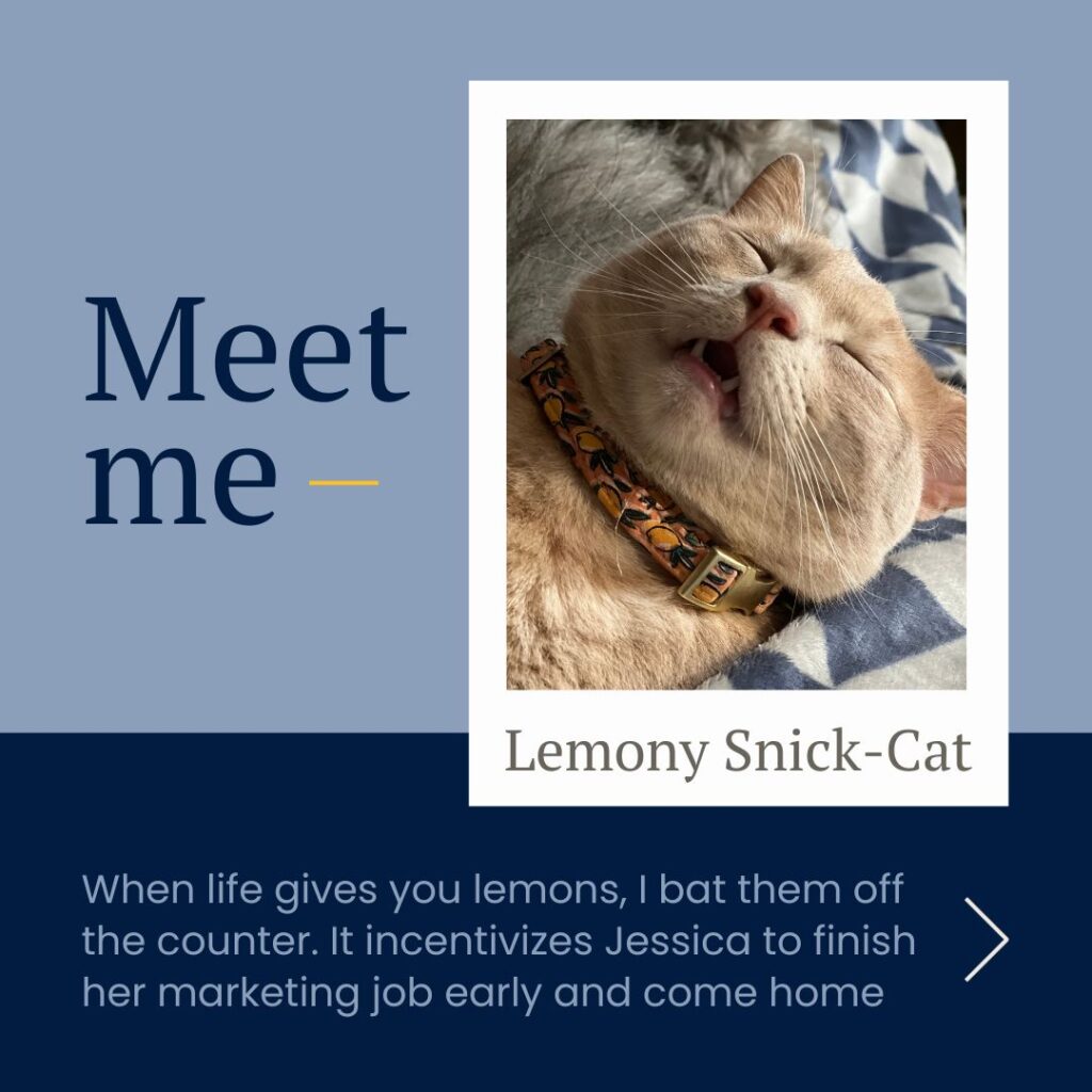 Meet me - Lemony Snick-Cat. When life gives you lemons, I bat them off the counter. It incentivizes Jessica to finish her marketing job early and come home.