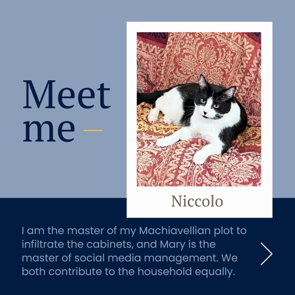 Meet me - Niccolo. I am the master of my Machiavellian plot to infiltrate the cabinets, and Mary is the mast of social media management. We both contribute to the household equally.