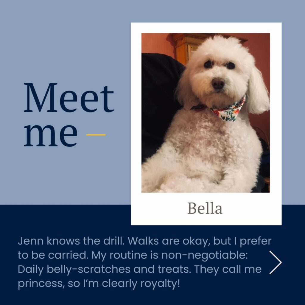 Meet me - Bella. Jenn knows the drill. Walks are okay, but I prefer to be carried. My routine is non-negotiable: Daily belly-scratches and treats. They call me princess, so I'm clearly royalty!