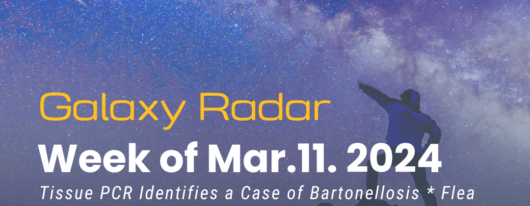 Image of person pointing to the stars. Text: Galaxy Radar Week of Mar.11. 2024. Tissue PCR Identifies a Case of Bartonellosis * Flea Research from Galaxy Diagnostic Scientists and Others * Warm Winter and an Early Tick Season * More