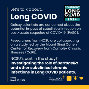Logo: Confronting Long COVID 2024. Let’s talk about Long COVID. Galaxy scientists are concerned about the potential impact of subclinical infection on post-acute sequelae of COVID-19 (PASC). Researchers from NCSU are collaborating on a study led by the Mount Sinai Cohen Center for Recovery from Complex Chronic Illnesses (CoRE). NCSU’s part in the study? Investigating the role of Bartonella and other subclinical chronic infections in Long COVID patients.
