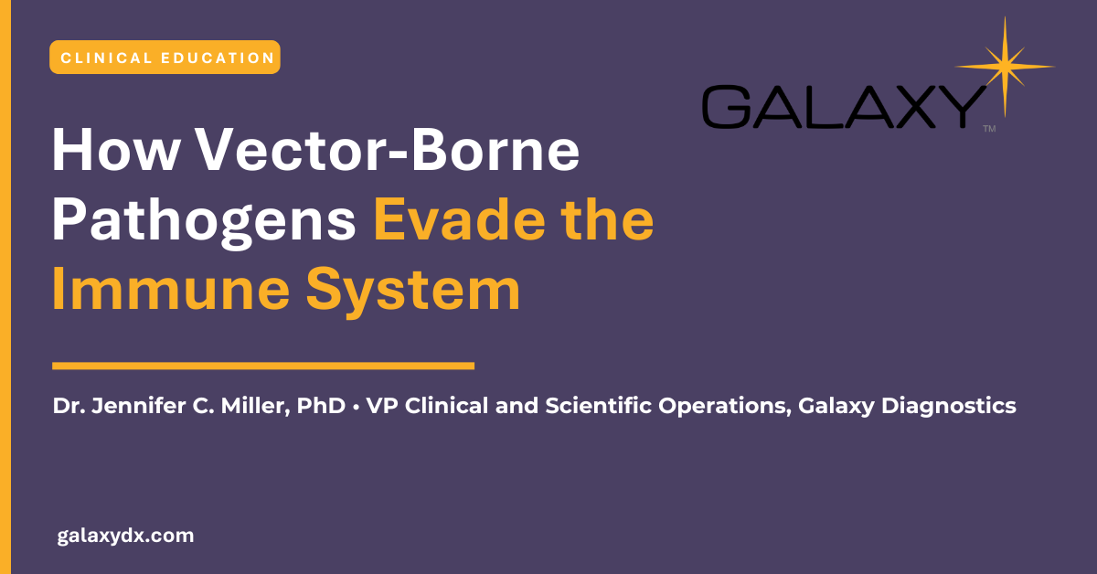 Learn about tick-borne pathogen immune evasion with Galaxy Diagnostics
