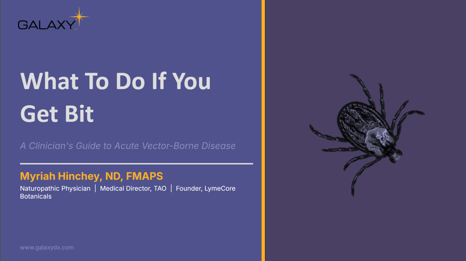 What To Do If You Get Bit Webinar _ Dr. Hinchey_ May 2026