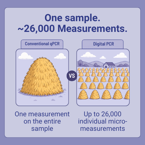 Cartoon infographic comparing conventional qPCR and digital PCR, showing one whole-sample measurement versus 20,000 micro-measurements.